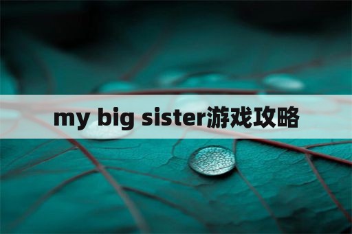 my big sister游戏攻略